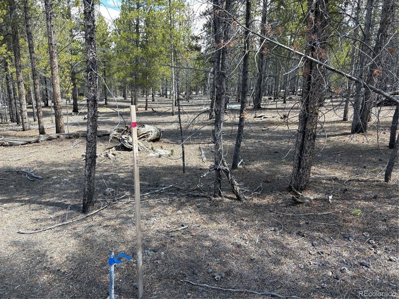 834 Cedar Dr, Twin Lakes, CO 80461