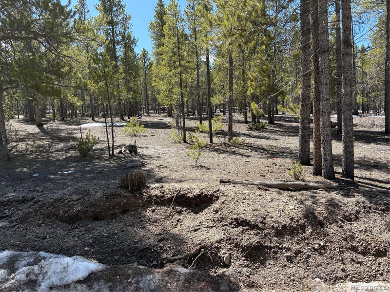 834 Cedar Dr, Twin Lakes, CO 80461