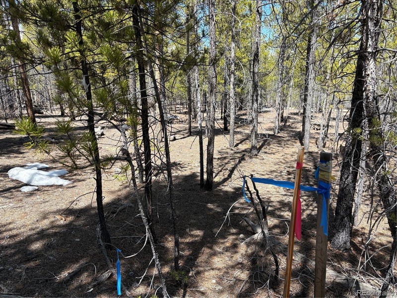 834 Cedar Dr, Twin Lakes, CO 80461