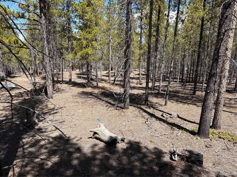 834 Cedar Dr, Twin Lakes, CO 80461