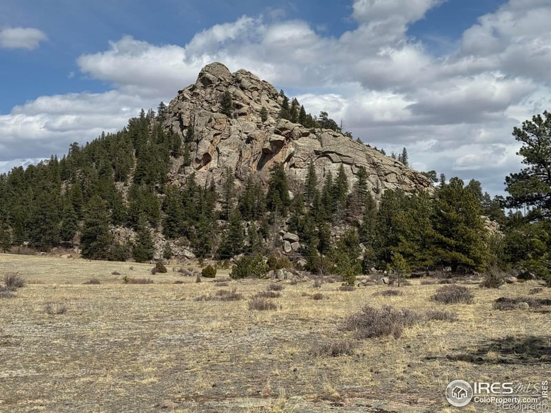 Shoshana Ranch Rd, Livermore, CO 80536