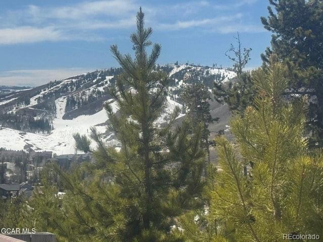 425 Shoshoni Ln, Granby, CO 80446