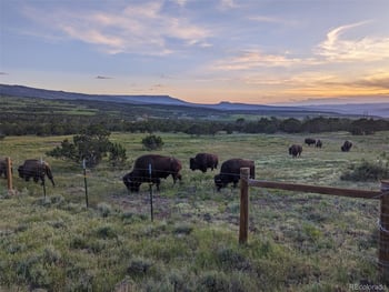 56001 Kk Rd #1 Parcel, Molina, CO 81646