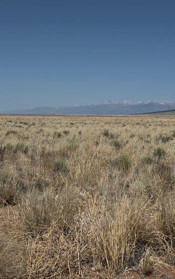 Lot 28 Monte Vista Rd, Blanca, CO 81123