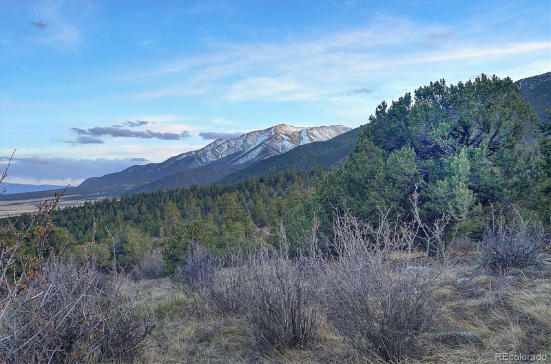 30034 Creek Rn, Buena Vista, CO 81211