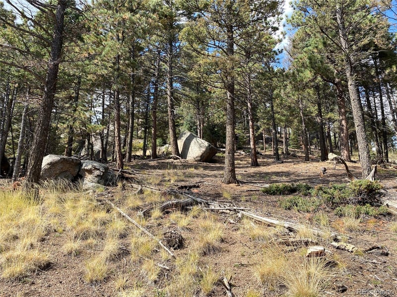 342 Ponderosa Vw, Manitou Springs, CO 80829