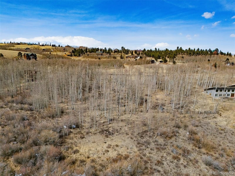 1555 Sheep Ridge Rd Lot 263, Fairplay, CO 80440