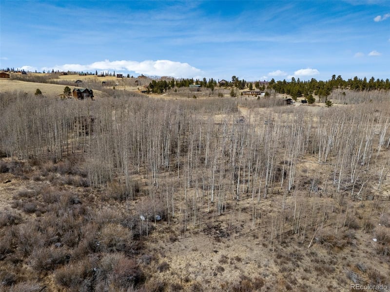 1555 Sheep Ridge Rd Lot 263, Fairplay, CO 80440