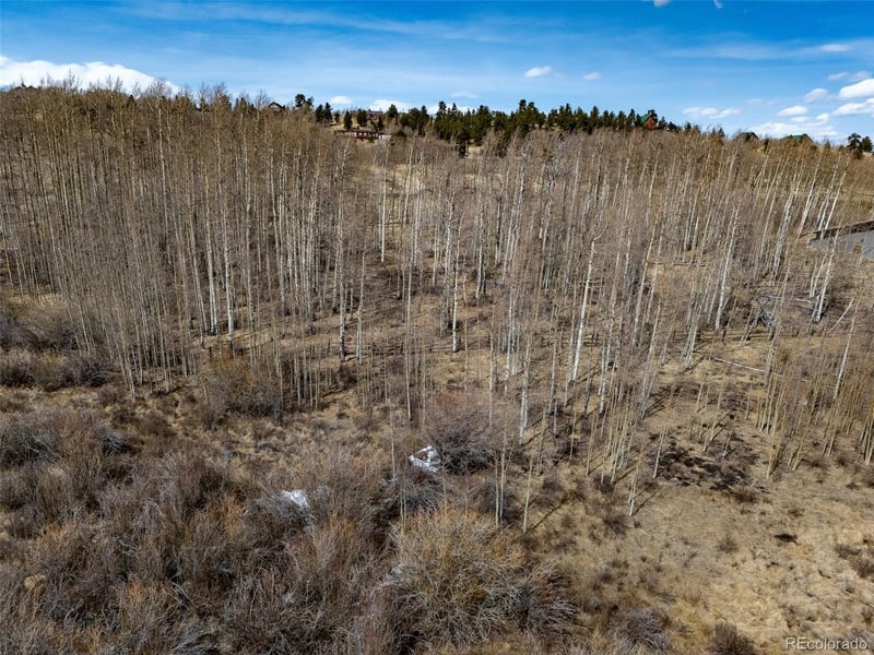 1555 Sheep Ridge Rd Lot 263, Fairplay, CO 80440