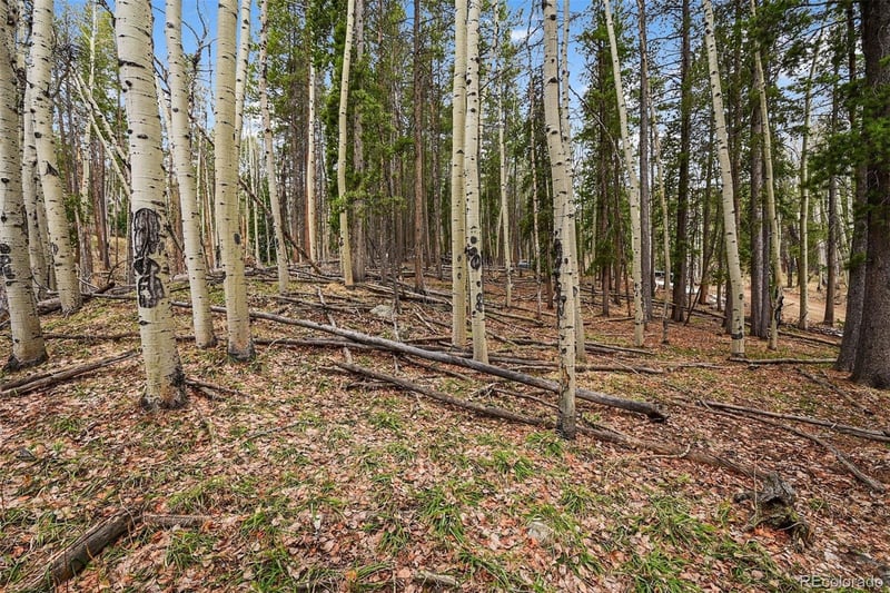 Ute Trl, Evergreen, CO 80439