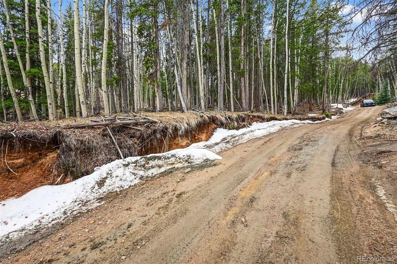 Ute Trl, Evergreen, CO 80439