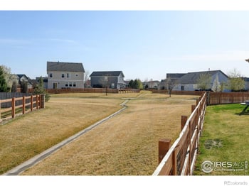 1565 Harpendon Ct, Windsor, CO 80550