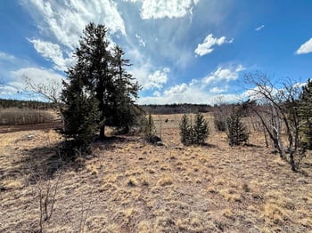 1238 Overland Cir, Jefferson, CO 80456