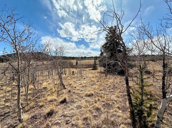 1238 Overland Cir, Jefferson, CO 80456