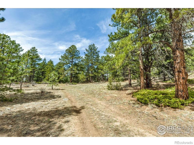 1904 County Road 68, Nederland, CO 80466