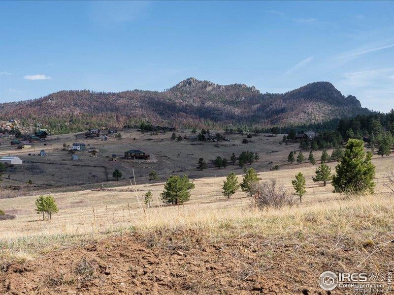 102 Spruce Mountain Dr, Drake, CO 80515