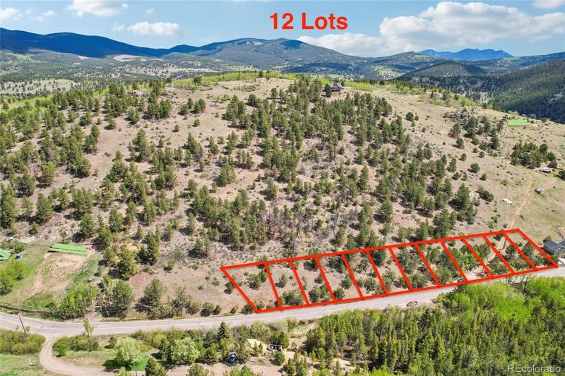 023 Eureka St, Central City, CO 80427