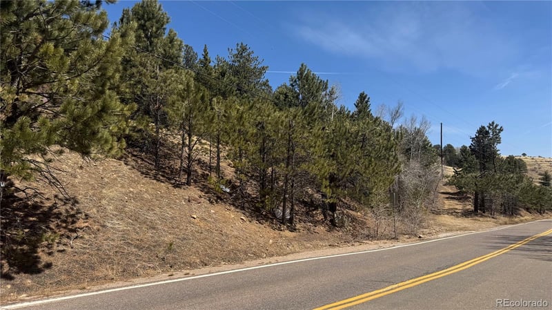 023 Eureka St, Central City, CO 80427