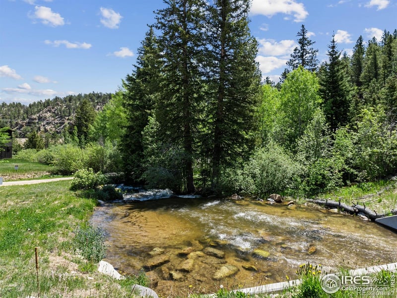 1134 Highway 7 Business, Allenspark, CO 80510