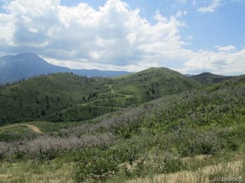 Lot 32 Raspberry Mountain Ranch, La Veta, CO 81055