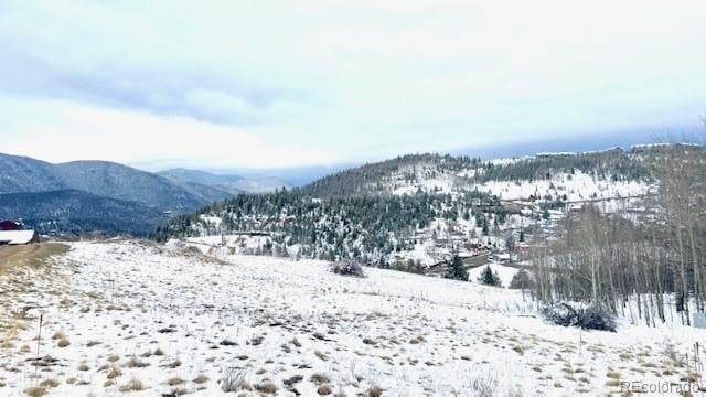 0001 Academy St, Central City, CO 80427