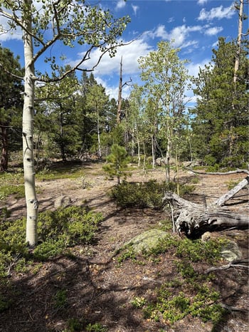 850 Lupine Pl, Black Hawk, CO 80422