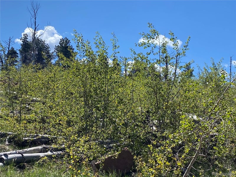 2142 Riccardo Ln, Fort Garland, CO 81133
