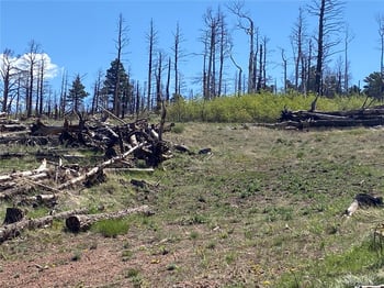 2142 Riccardo Ln, Fort Garland, CO 81133