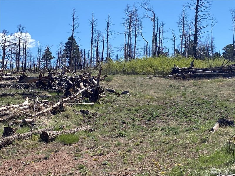 2142 Riccardo Ln, Fort Garland, CO 81133