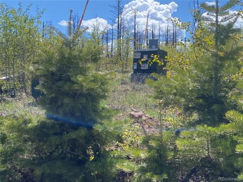 2142 Riccardo Ln, Fort Garland, CO 81133