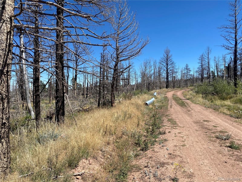 2169 Hayden Ln, Fort Garland, CO 81133