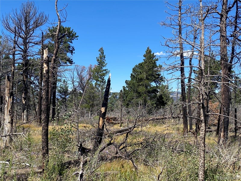 2169 Hayden Ln, Fort Garland, CO 81133