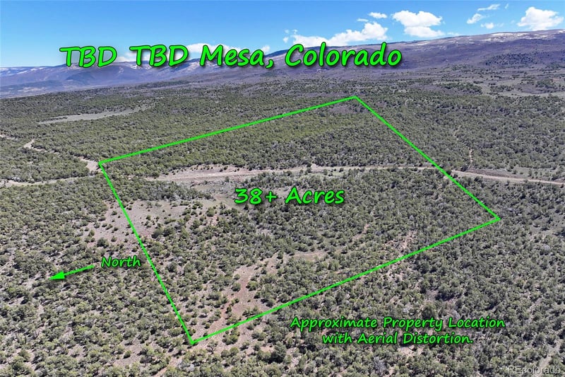 TBD Lot 4 Tbd , Mesa, CO 81643