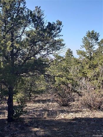 150152 Lake Of The Falls Pw, Mosca, CO 81146