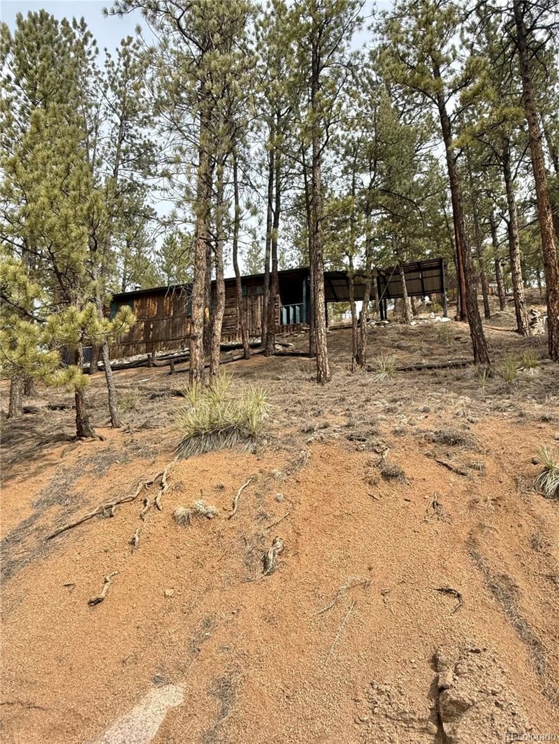 15858 S Elk Creek Rd, Pine, CO 80470