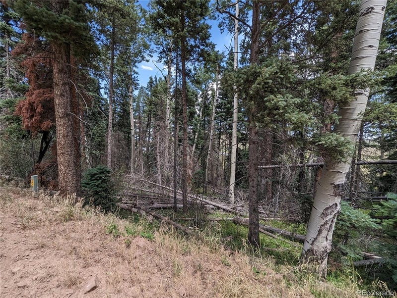 2352 Benton Pl, Fort Garland, CO 81133