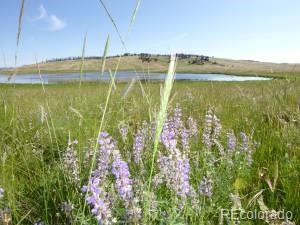 2352 Benton Pl, Fort Garland, CO 81133