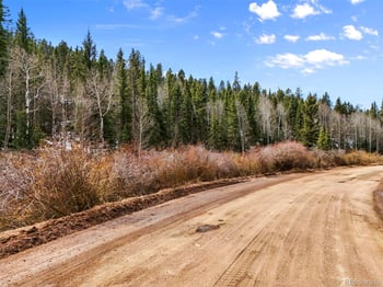 464 Bison Creek Trl, Florissant, CO 80816