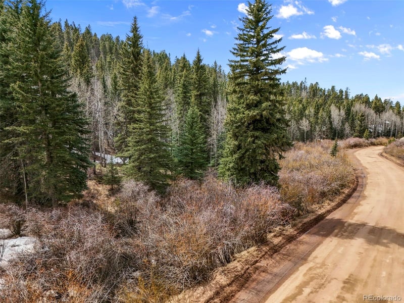 464 Bison Creek Trl, Florissant, CO 80816