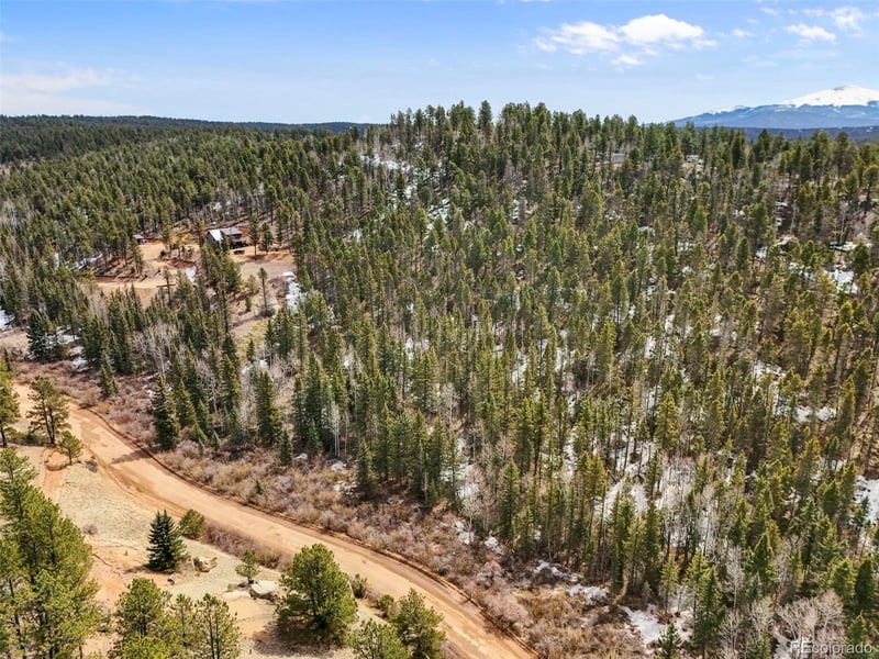 464 Bison Creek Trl, Florissant, CO 80816