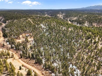 464 Bison Creek Trl, Florissant, CO 80816