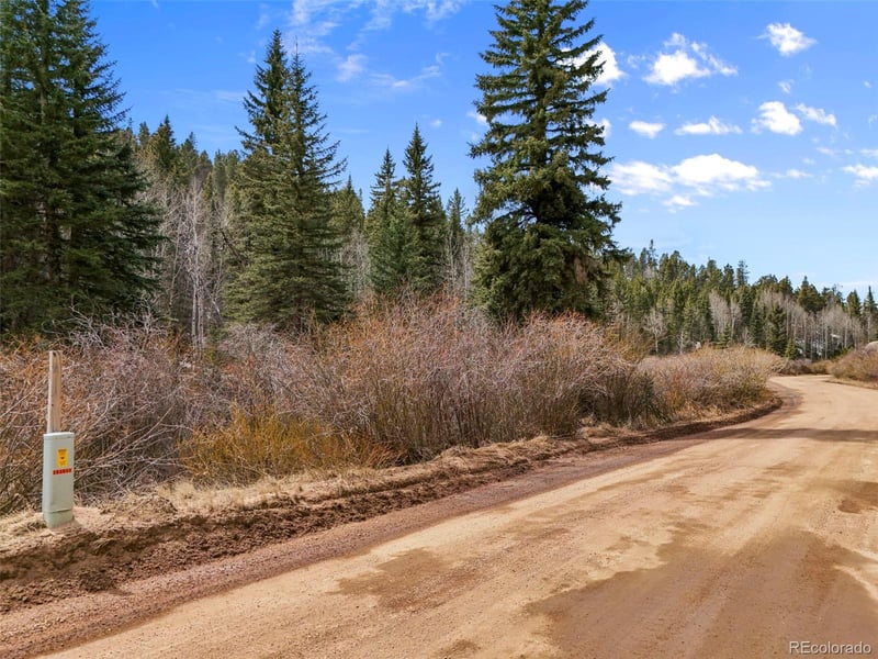 464 Bison Creek Trl, Florissant, CO 80816