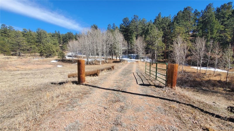 958 Meadows Ln, Florissant, CO 80820