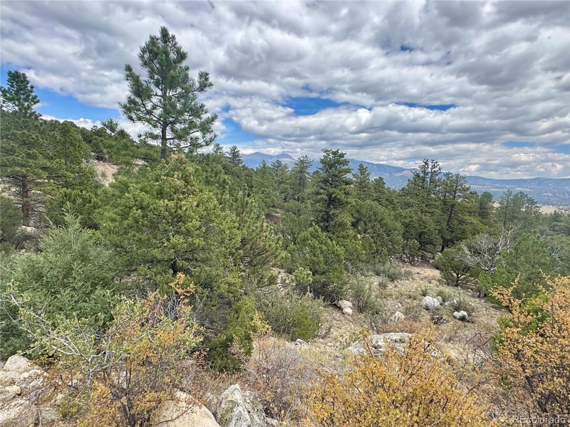 30110 Princeton Hills Lot 16, Buena Vista, CO 81211