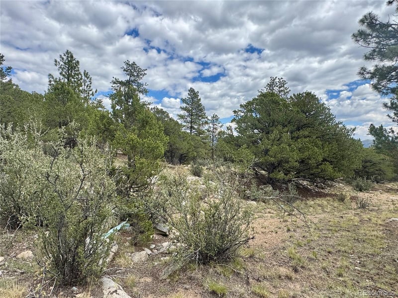 30110 Princeton Hills Lot 16, Buena Vista, CO 81211