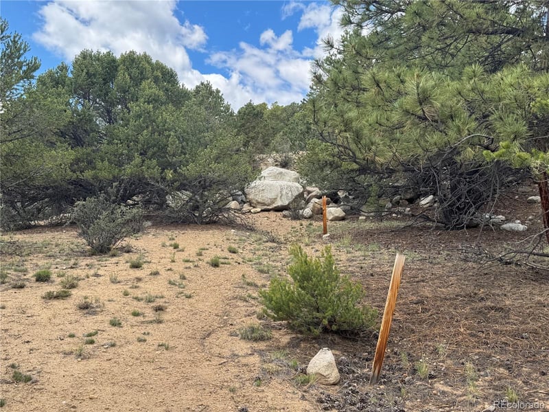 30110 Princeton Hills Lot 16, Buena Vista, CO 81211