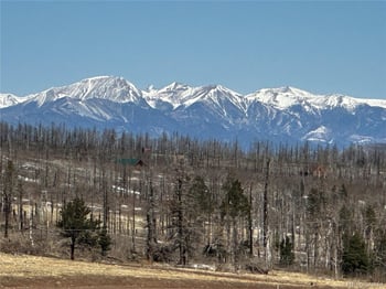 2332 Hayden Ln, Fort Garland, CO 81133