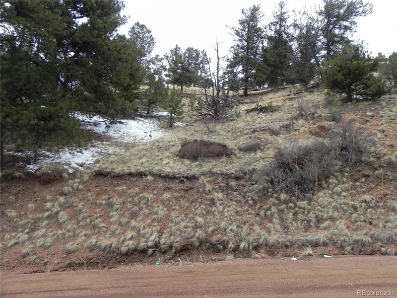 153 Idlewild Dr, Cripple Creek, CO 80813