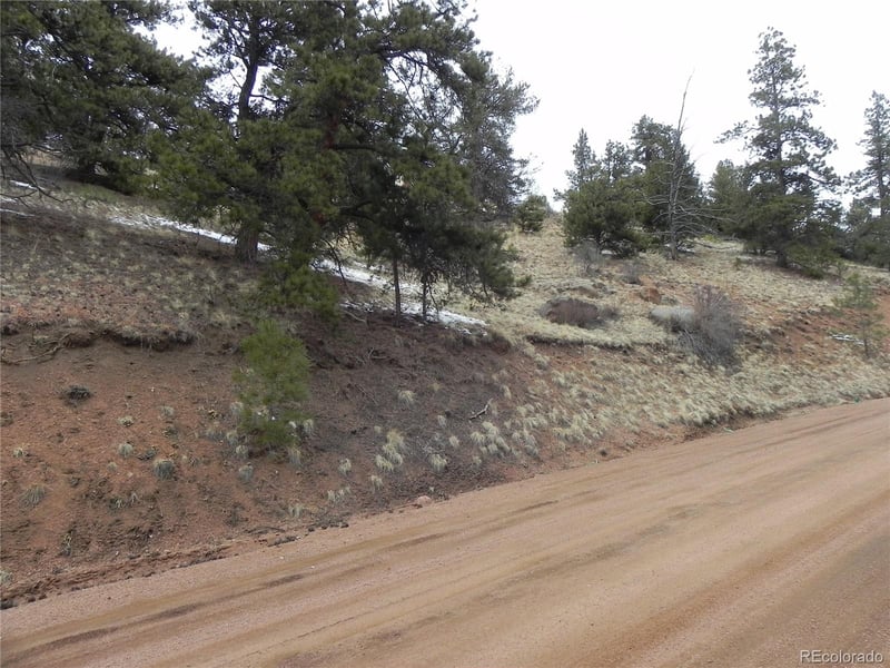 153 Idlewild Dr, Cripple Creek, CO 80813