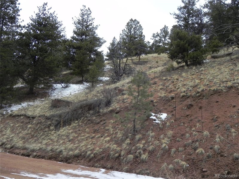 153 Idlewild Dr, Cripple Creek, CO 80813